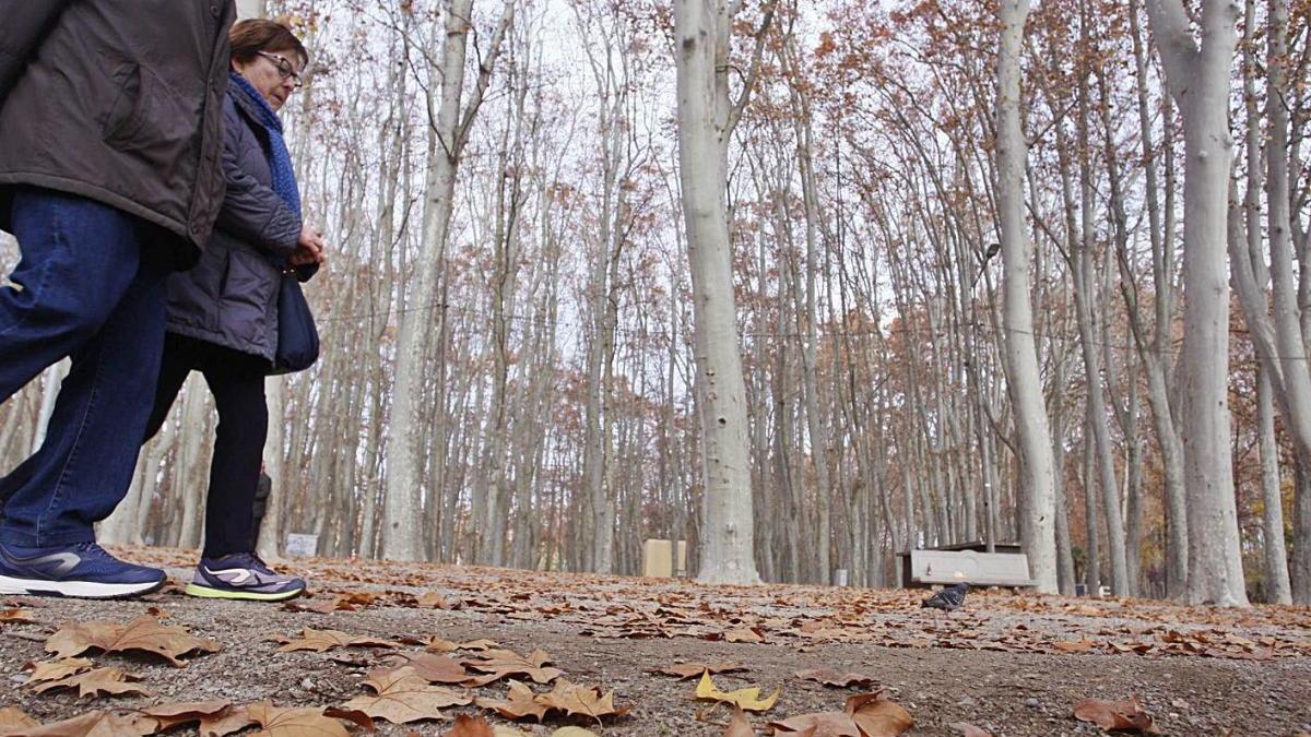 Una parella passejant pel parc de la Devesa de Girona.