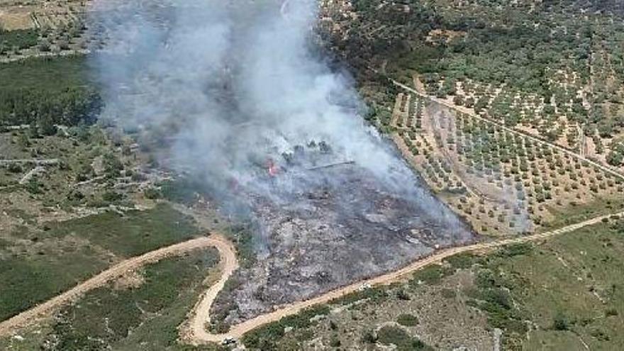 Controlado incendio forestal en Sant Mateu