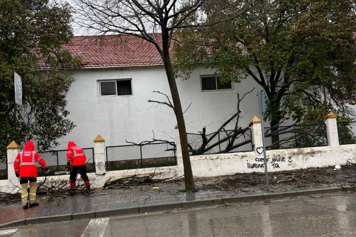 Los bomberos retiran ramas caídas por el fuerte viento en Lucena.