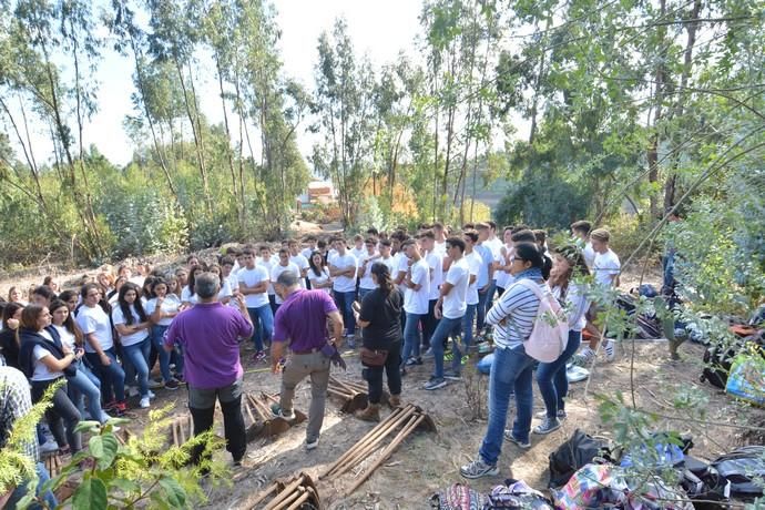 REPOBLACIÓN FORESTAL FONTANALES MOYA