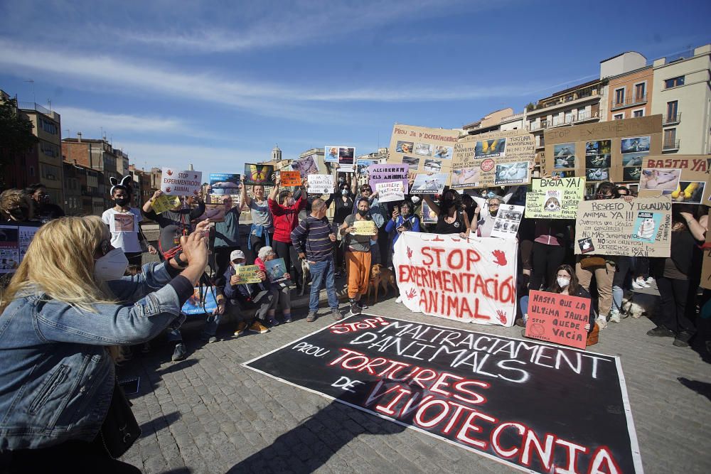 Concentració a Girona per reclamar l'alliberament dels animals de Vivotecnia de Madrid