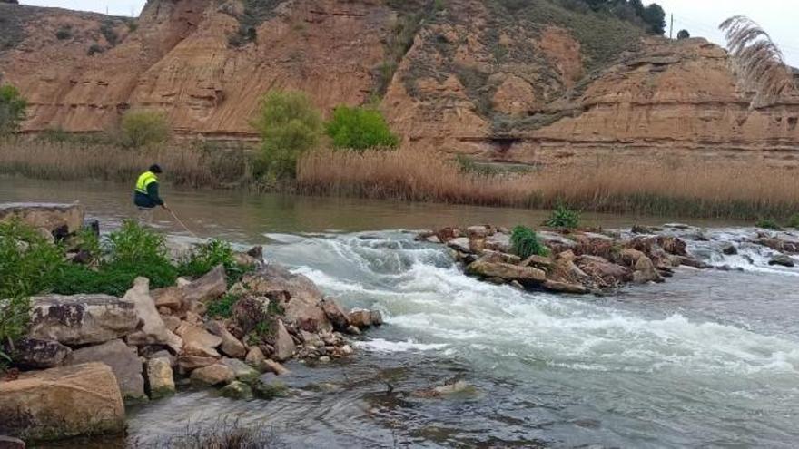 La Comarca del Bajo realiza labores de tratamiento contra la mosca negra en los ríos Cinca y Alcanadre. | EL PERIÓDICO