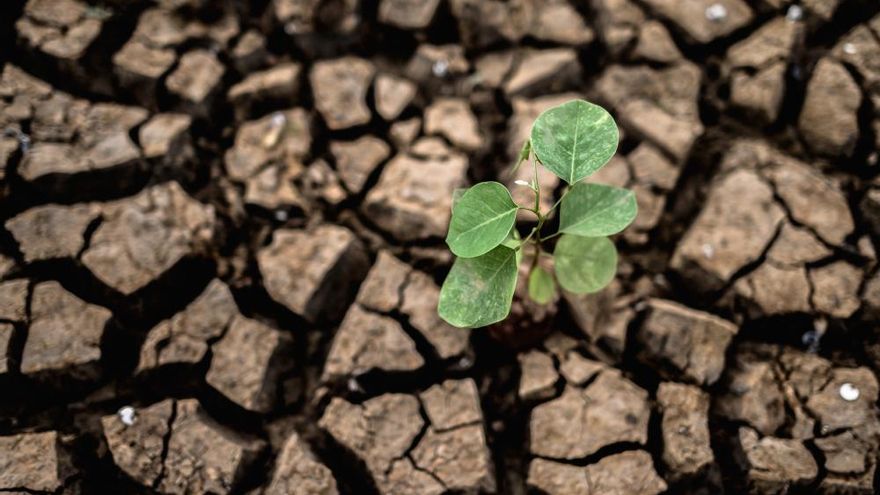 &quot;No frenarem la crisi ambiental si l&#039;administració no juga realment en el mateix equip que la ciutadania&quot;