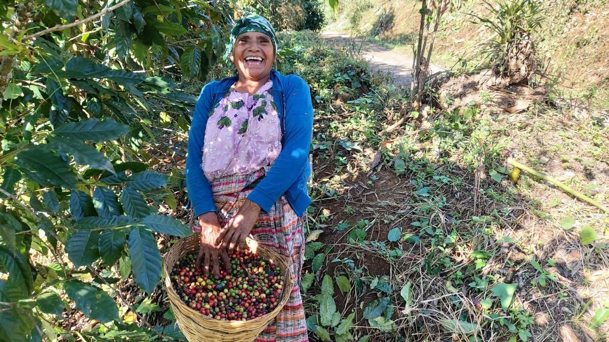 Agricultora de café