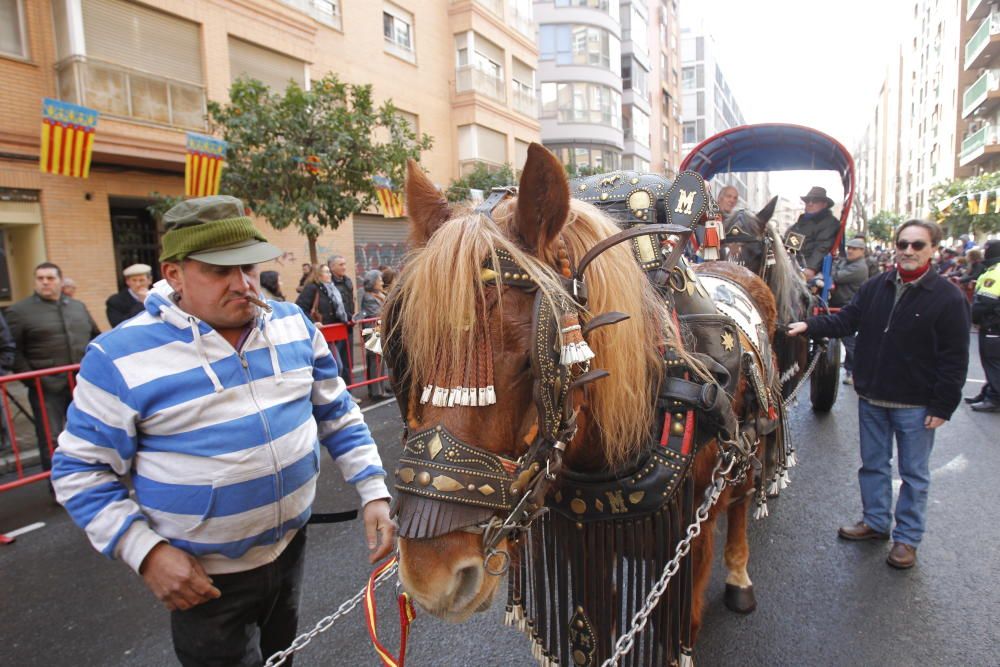 Sant Antoni en Valencia 2017