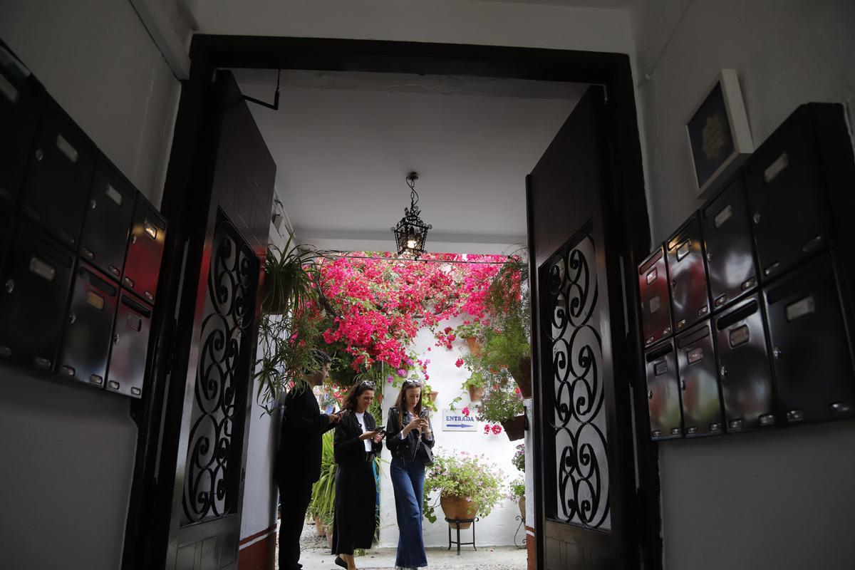 Patios de Córdoba: Marroquíes 6