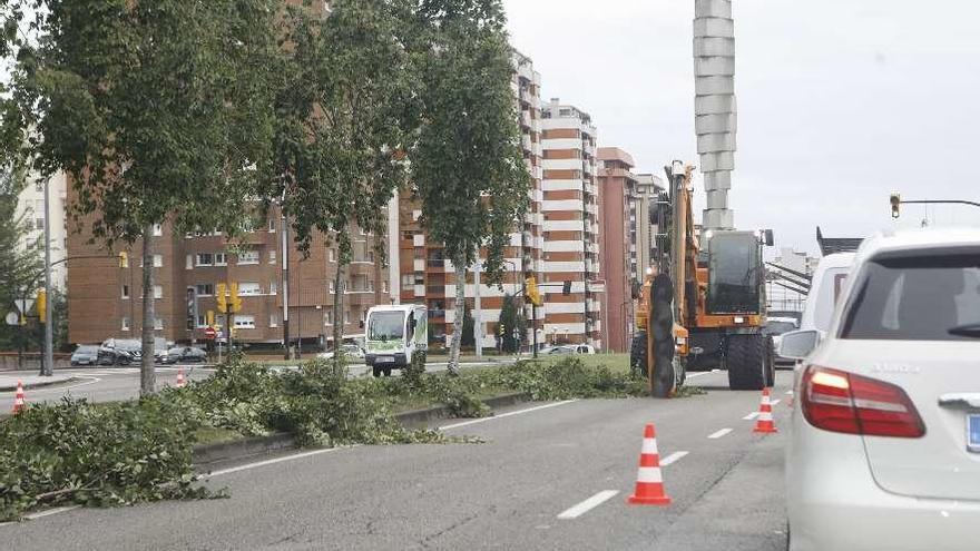 La máquina de poda automática trabajando ayer en la avenida de Oviedo.