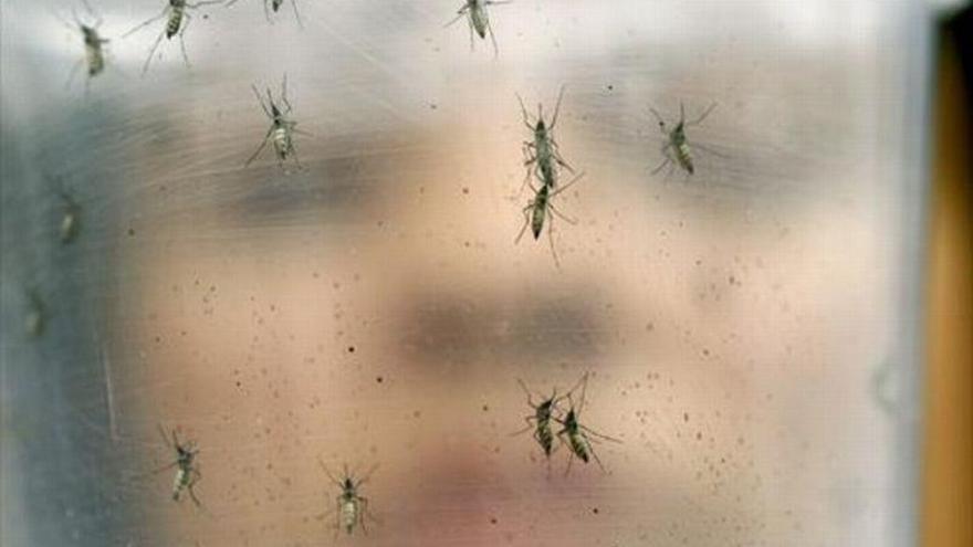 Aragón confirma el primer caso de virus zika y espera varios más