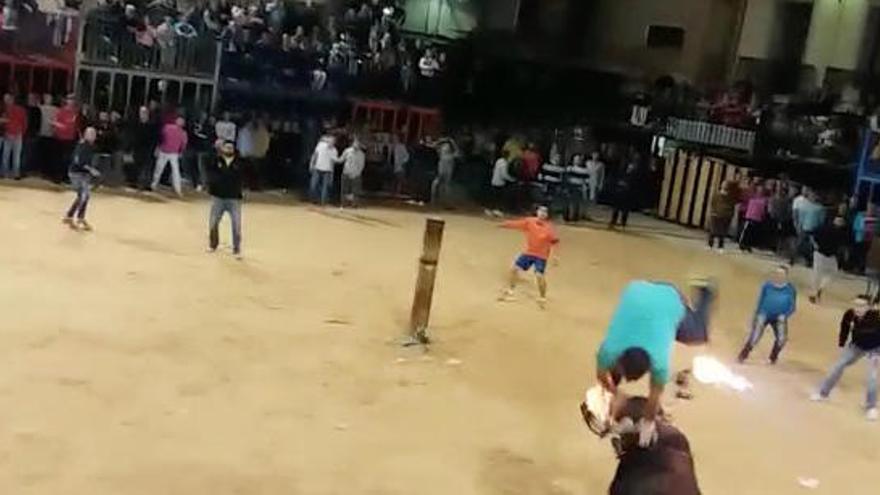 Muere un «bou embolat» en la plaza de Nules