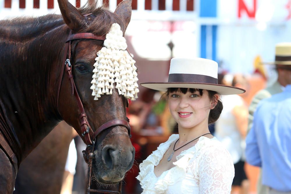 Caballos en el Real de la Feria