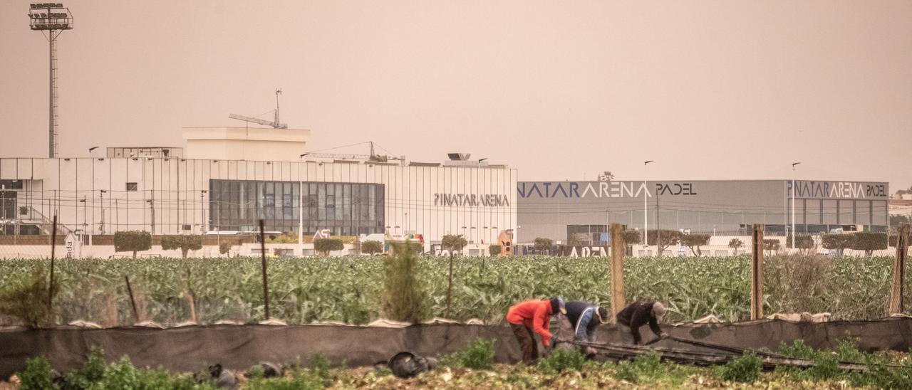 Zona deportiva en la que desemboca la rambla de la Raya y en la que está prevista la construcción de un hotel de cinco estrellas en el saladar del espacio protegido de las salinas de San Pedro