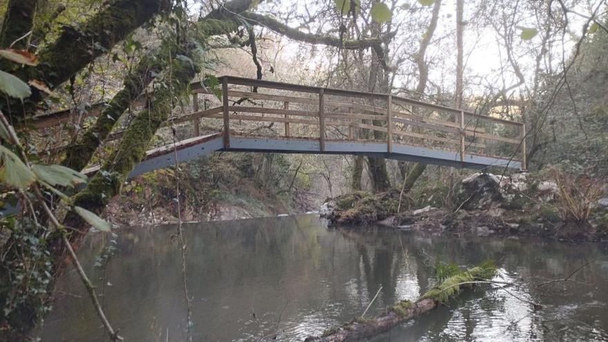 Un puente para devolver la luz a Pina