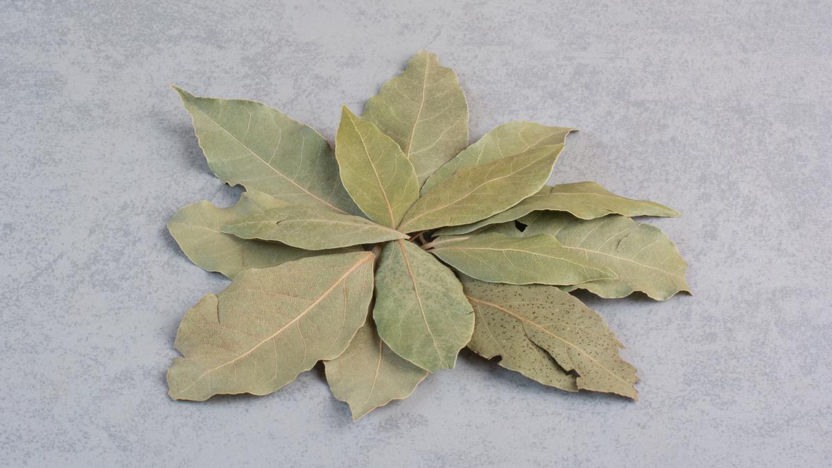 Ni te imaginas los sorprendentes beneficios de dormir con una hoja de laurel en el calcetín