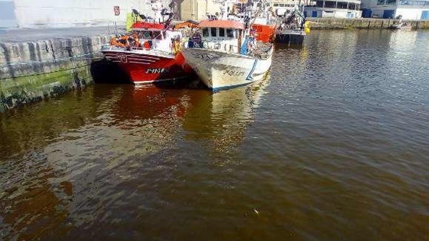 Mancha de &quot;Alexandrium minutum&quot;, en O Berbés. // Mónica Pazos