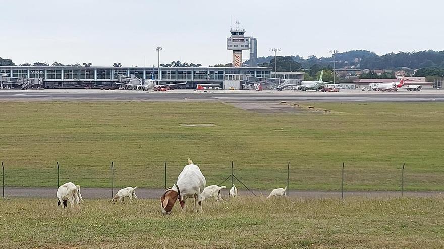 El verano también se despide del aeropuerto