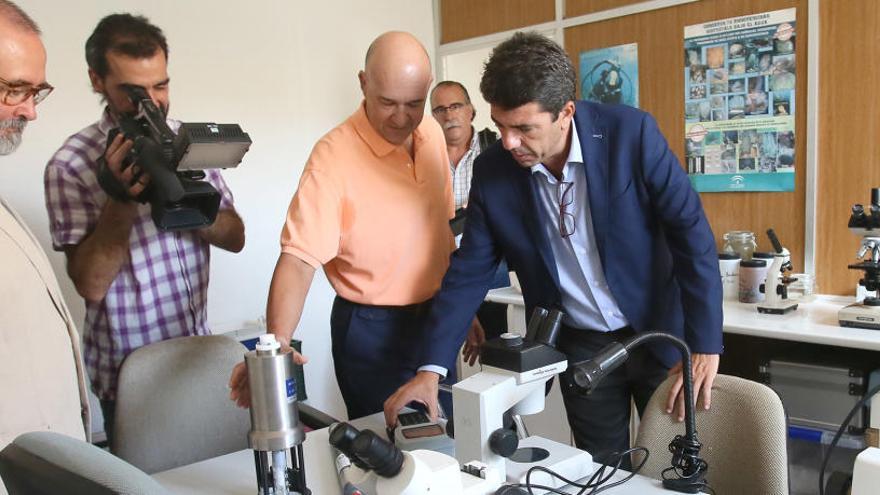 La Diputación y El Campello posicionarán el Instituto de Ecología Litoral como referente marino y turístico