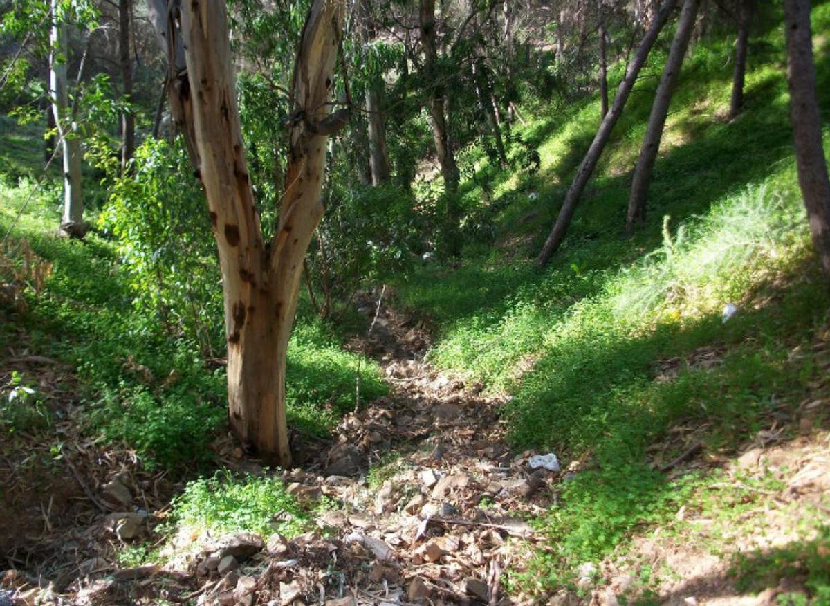 Parque forestal Monte Victoria, situado a apenas diez minutos del Centro de Málaga