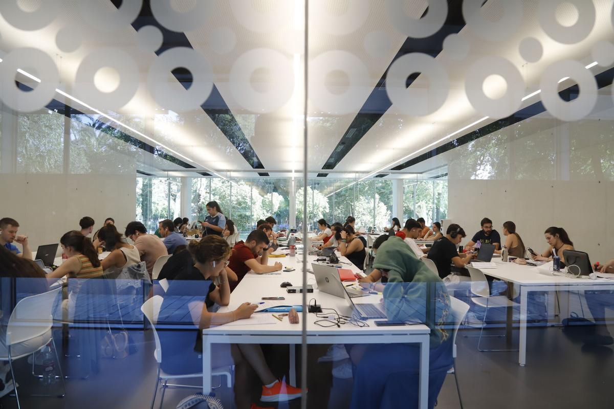 El público joven es el que menos hace uso de las bibliotecas.