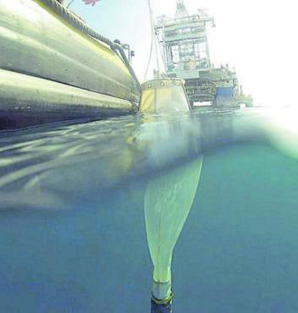 Toma de muestras en el entorno marino.