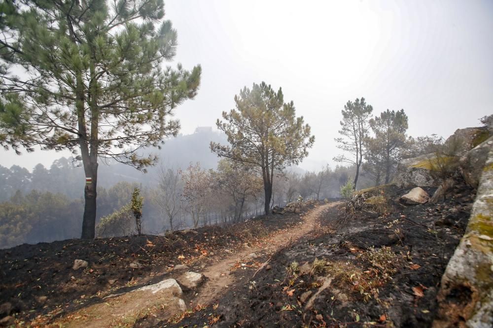 Incendios en Galicia | Vigo, cercado por el fuego