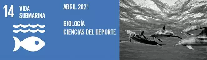 ODSesiones de la UMU concienciará durante el mes de abril sobre la importancia de la protección y conservación de los océanos