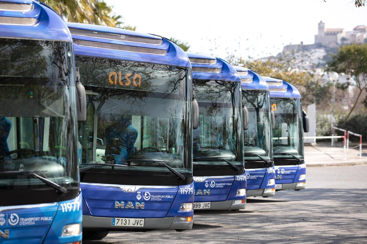 Los autobuses de Alsa durante la presentación en el recinto ferial de Ibiza.