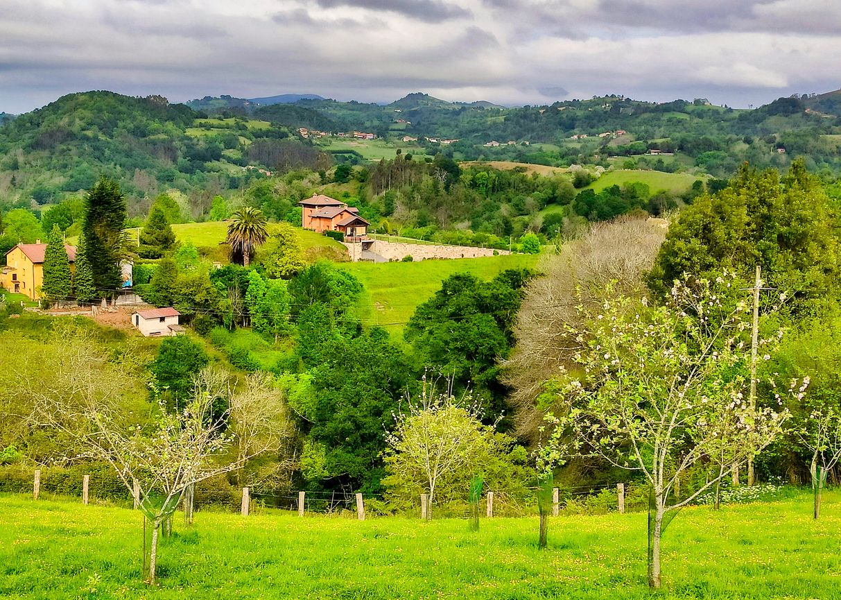Prados en el concejo de Cabranes, Asturias, España.