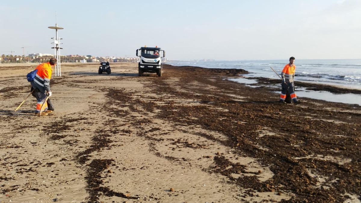 Trabajos de limpieza en una playa de València.