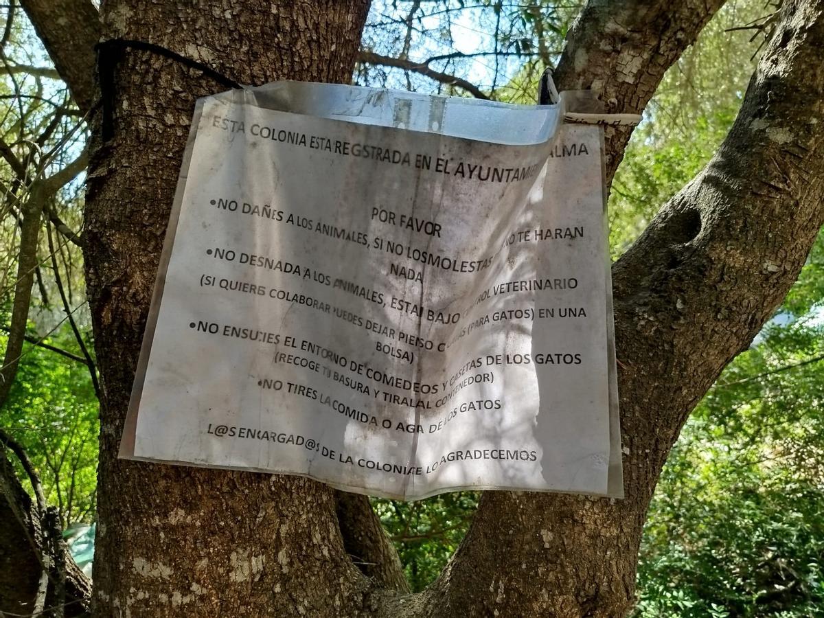 Denuncian suciedad y robos en un aparcamiento público junto a la playa de Cala Major
