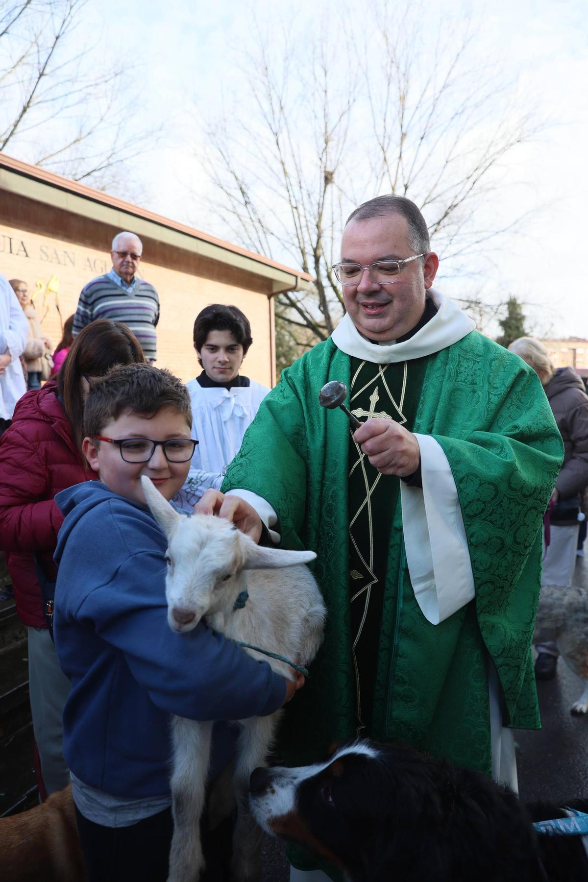 La bendición de animales en La Magdalena, en imágenes
