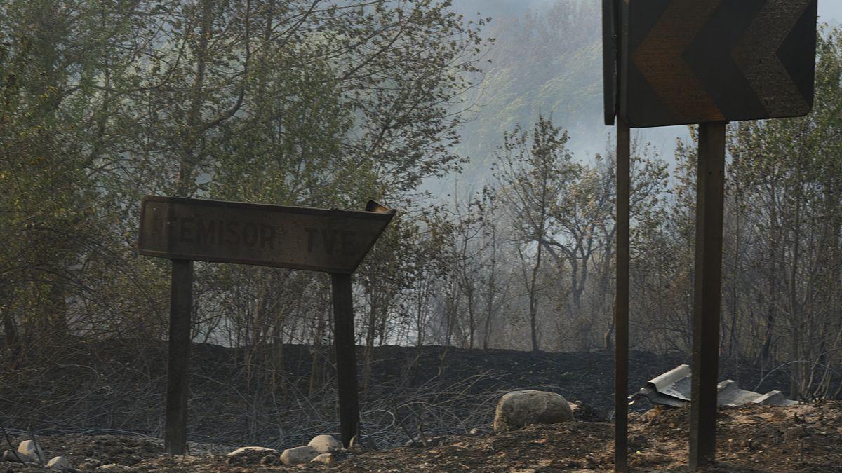 Zona vegetal afectada por el incendio de O Barco de Valdeorras.