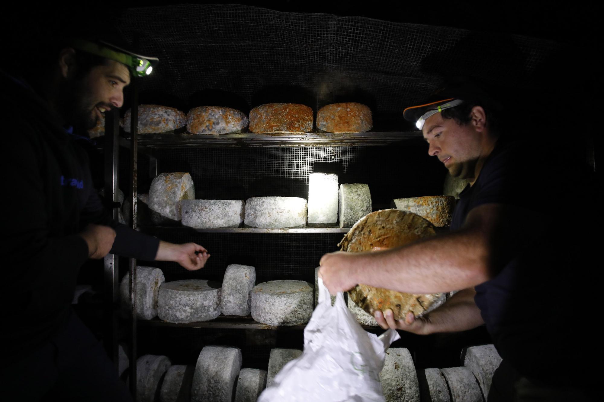 Así se elabora el gamonéu del Puertu: de la cueva a la mesa.