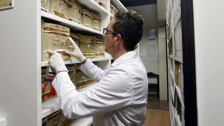 La biblioteca &#039;secreta&#039; de la  Catedral abre sus puertas