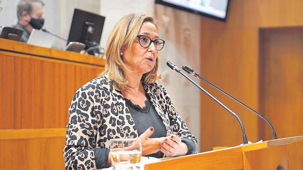 La consejera de Presidencia del Gobierno de Aragón, Mayte Pérez, comparece para explicar la nueva ley.
