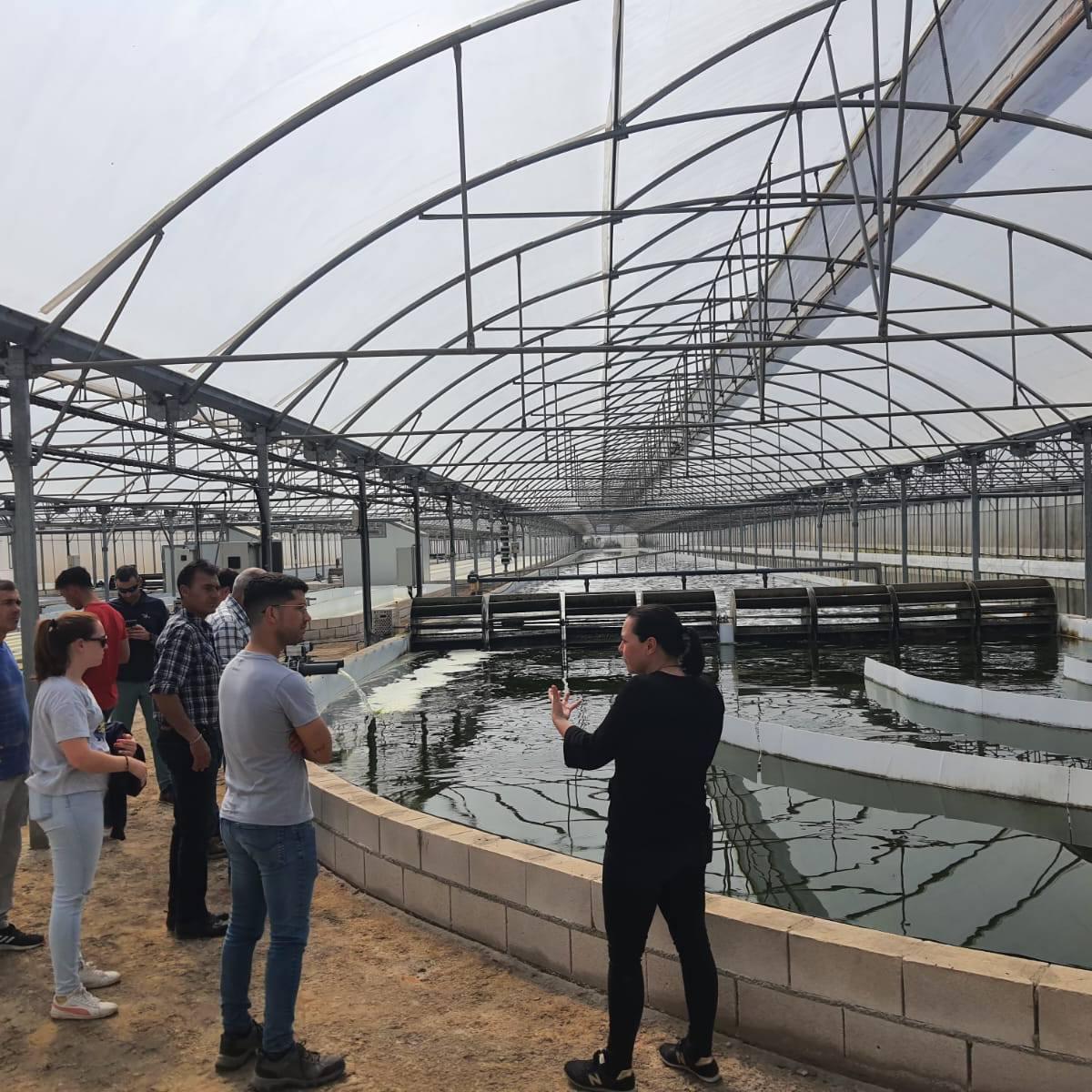 Las instalaciones de Biorizon Biotech para la investigación, cultivo y producción de microalgas y otros microorganismos incluyen los biorreactores (balsas o tubos) más grandes de Europa en su sector con finalidad agrícola.