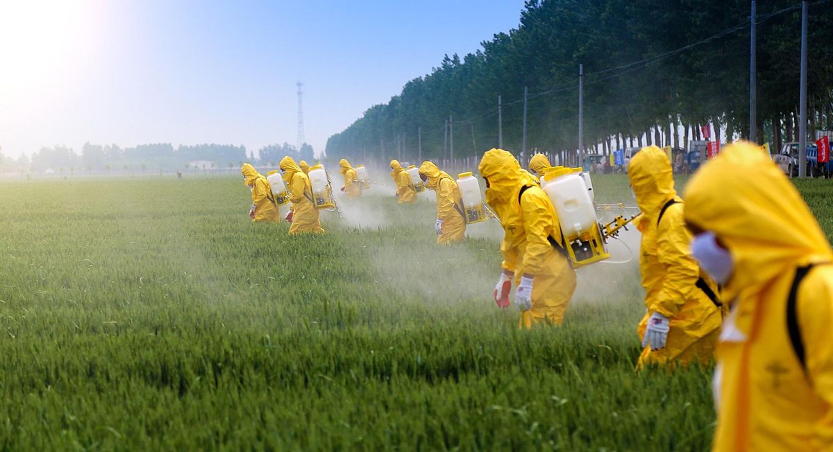 Los pesticidas, ya de por sí polémicos, son a veces ilegales