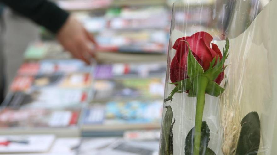 Primer pla d&#039;una rosa vermella.