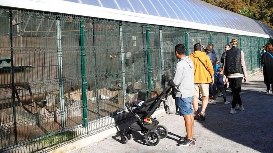 D&#039;Isabel la Católica a Sobrescobio: ruta pa salvar páxaros