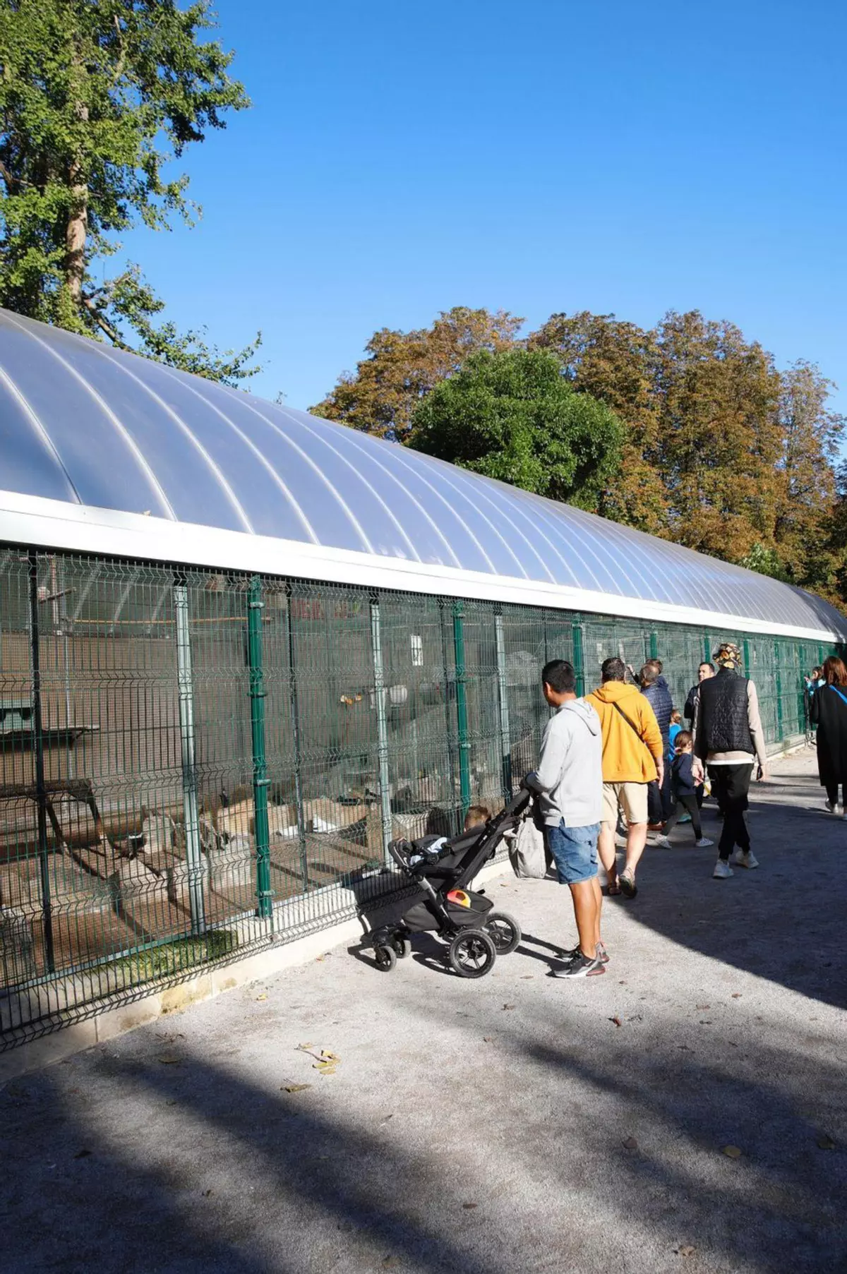 D'Isabel la Católica a Sobrescobio: ruta pa salvar páxaros