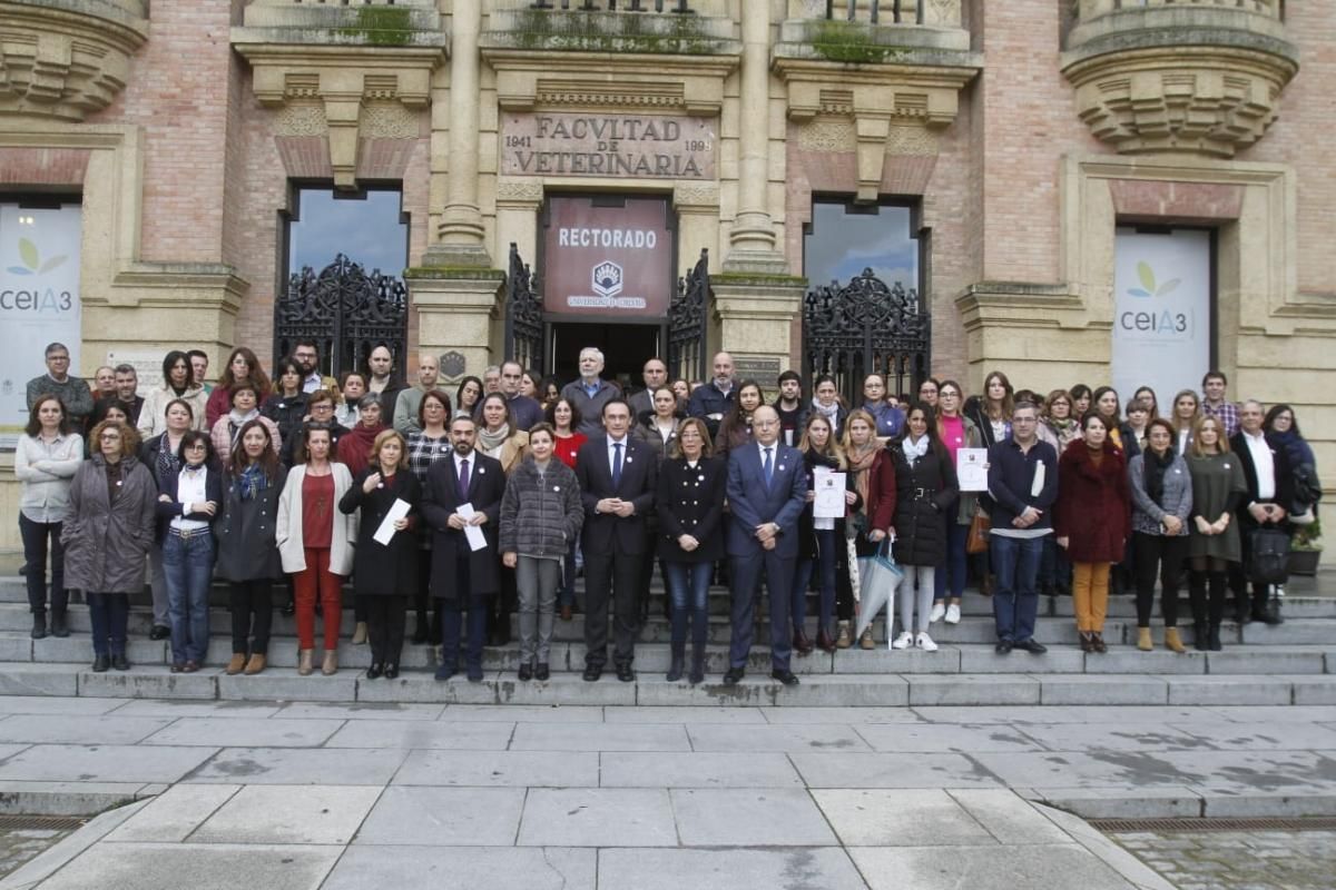 Córdoba rechaza la violencia contra las mujeres