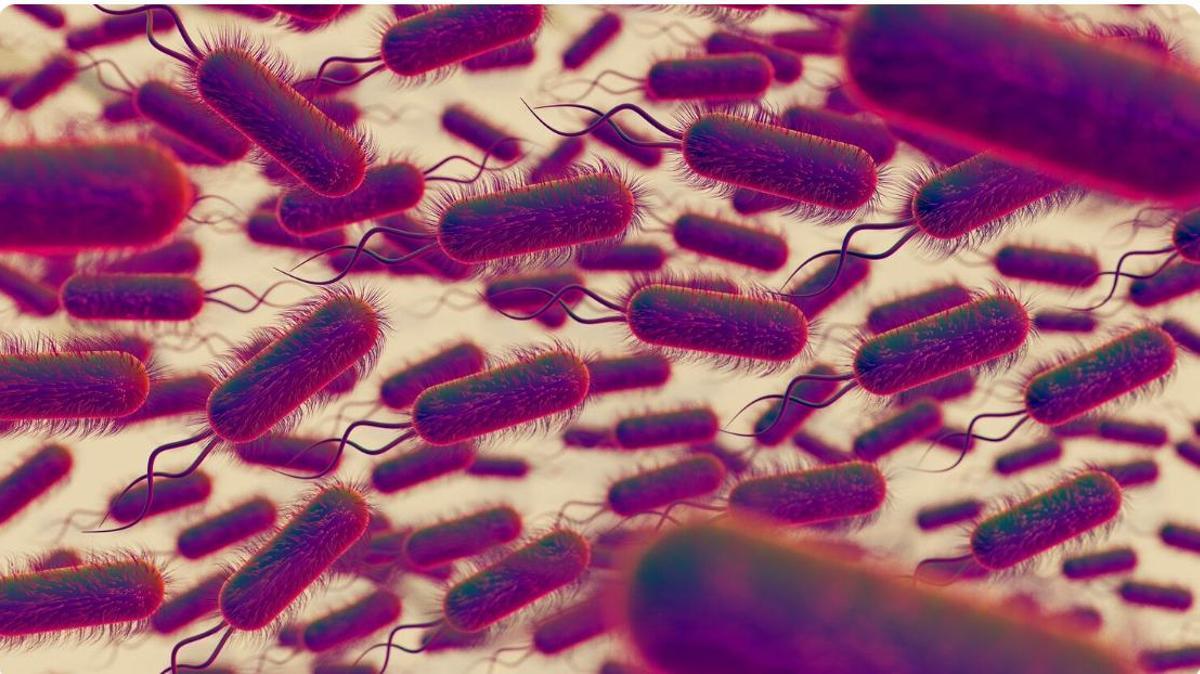 Què fer si tinc paràsits intestinals?