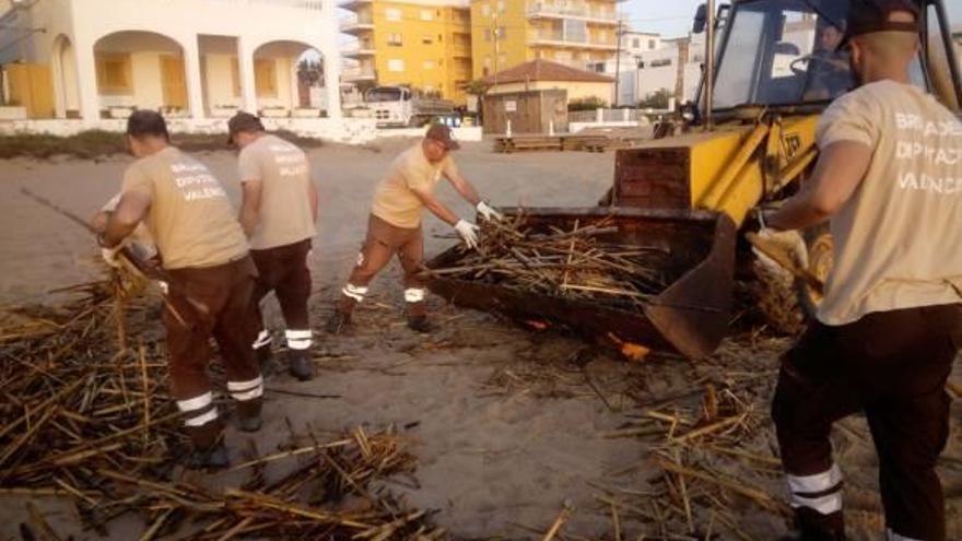 Tavernes sigue retirando cañas de la playa tres semanas después de las lluvias