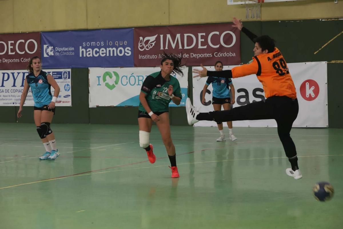 Las imágenes del Adesal-Morvedre de balonmano femenino en La Fuensanta