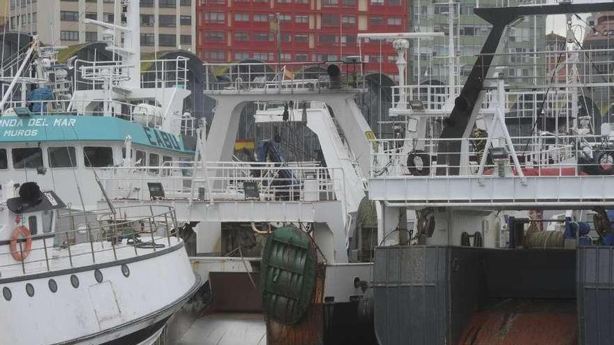 Un grupo de arrastreros amarrados en el puerto de A Coruña. / víctor echave