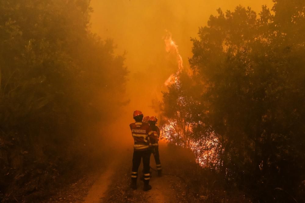 Incendio de grandes dimensiones en el centro de Portugal.