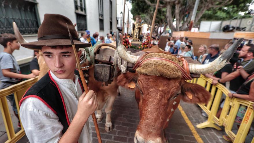 El turrón da paso al zurrón: la primera romería del año en Tenerife se llena de niños y turistas