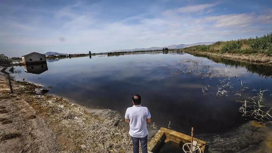 Dolores enfila la recta final para construir 2.600 casas junto al parque natural del Hondo