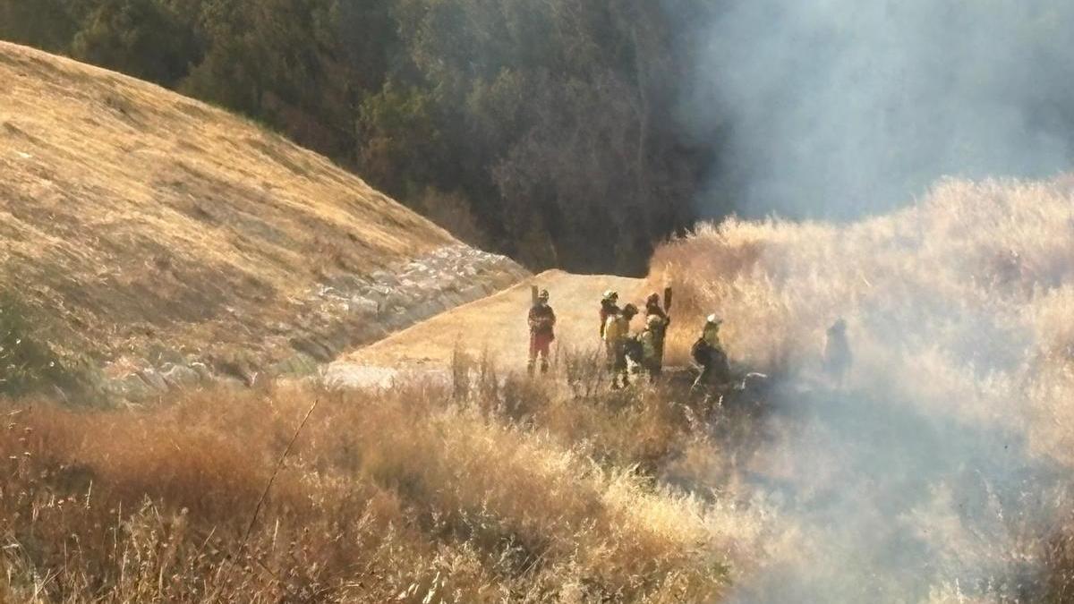 Efectivos del Infoca, de los bomberos y la UME trabajan en una de las quemas prescritas en Puente Genil.