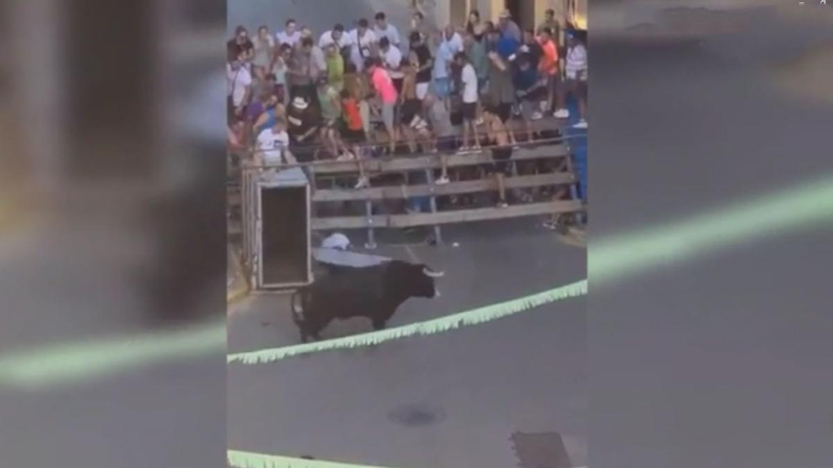 Accidentada 'desencajonada' de un toro en los 'bous carrer' de Onda