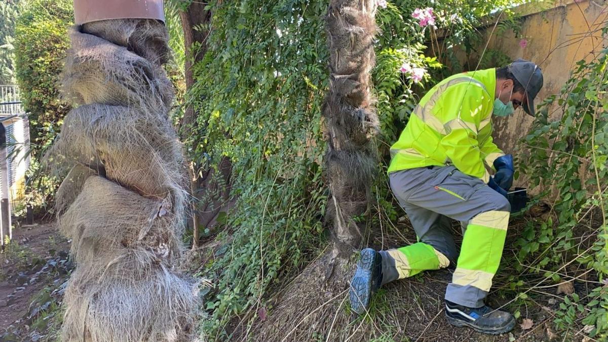 Un técnico revisa los sistemas instalados en un jardín del municipio. | AYTO MURCIA